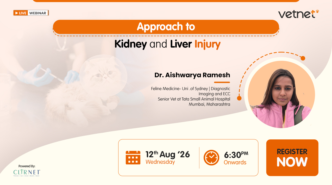 Approach to Kidney and Liver Injury